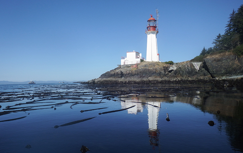 About the Lighthouse